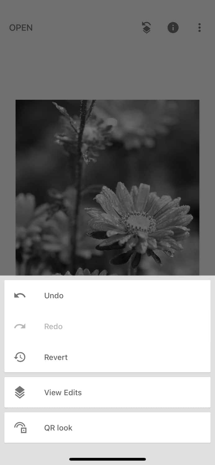 how to take a black and white picture on iphone