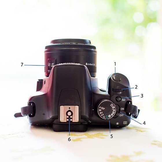 Getting to Know Your CANON Camera: DSLR Buttons 3 Daily Mom, Magazine for Families Buttons Camera