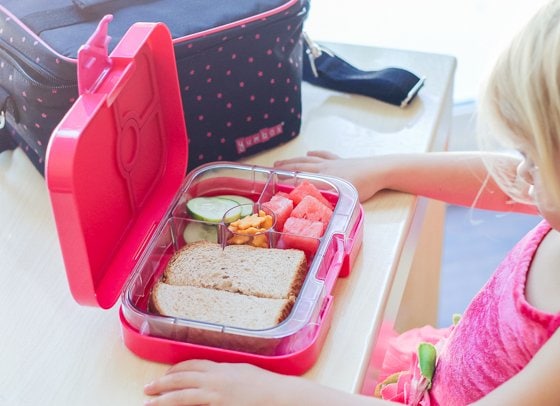 Back To School: Lunchbox Gear 23 Daily Mom, Magazine For Families