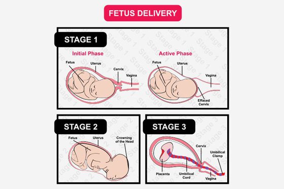 Postpartum Hemorrhage: The Postpartum Experience I Wasn'T Prepared For 4 Daily Mom, Magazine For Families