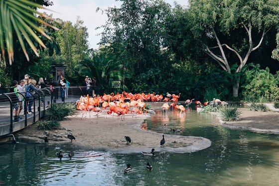 Child Centric Vacation Ideas In Southern California 18 Daily Mom, Magazine For Families