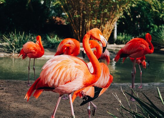 Child Centric Vacation Ideas In Southern California 19 Daily Mom, Magazine For Families