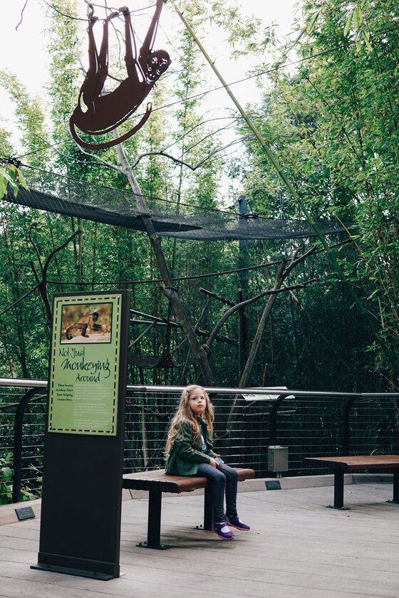Child Centric Vacation Ideas In Southern California 20 Daily Mom, Magazine For Families