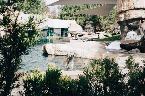 Child Centric Vacation Ideas In Southern California 21 Daily Mom, Magazine For Families