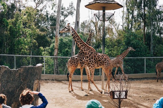 Child Centric Vacation Ideas In Southern California 22 Daily Mom, Magazine For Families