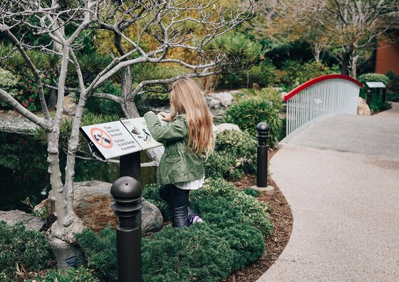 Child Centric Vacation Ideas In Southern California 24 Daily Mom, Magazine For Families