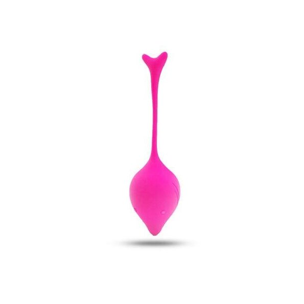 Magic Kegel Balls Silicone Vaginal Tight Exercise - womyra Store