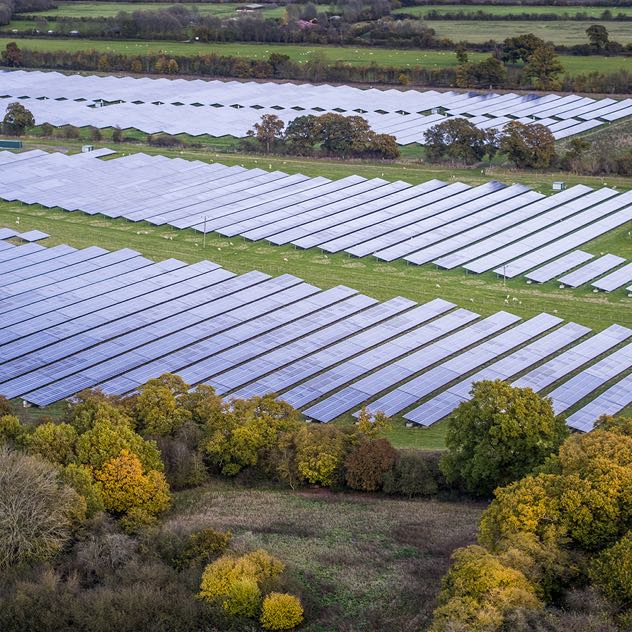 Solar farm surrounded by trees and hedges.