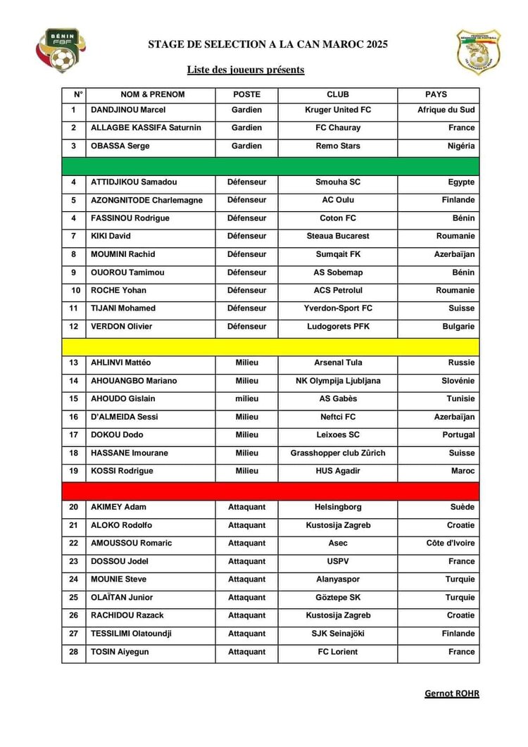 Africa Cup of Nations Morocco 2025: Gernot Rohr unveils the final 28-man squad for the Cheetahs! - wiwsport
