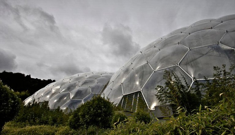 Two large, transparent geodesic domes with hexagonal panels stand amid lush green plants under a cloudy, overcast sky, creating an inspiring space that could easily host rsa trustees for unique gatherings or discussions.