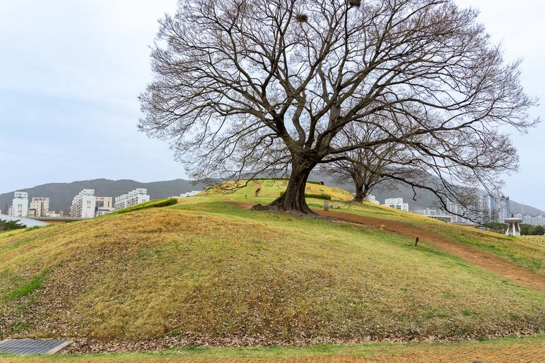 Gaya Tumuli World Heritage Site