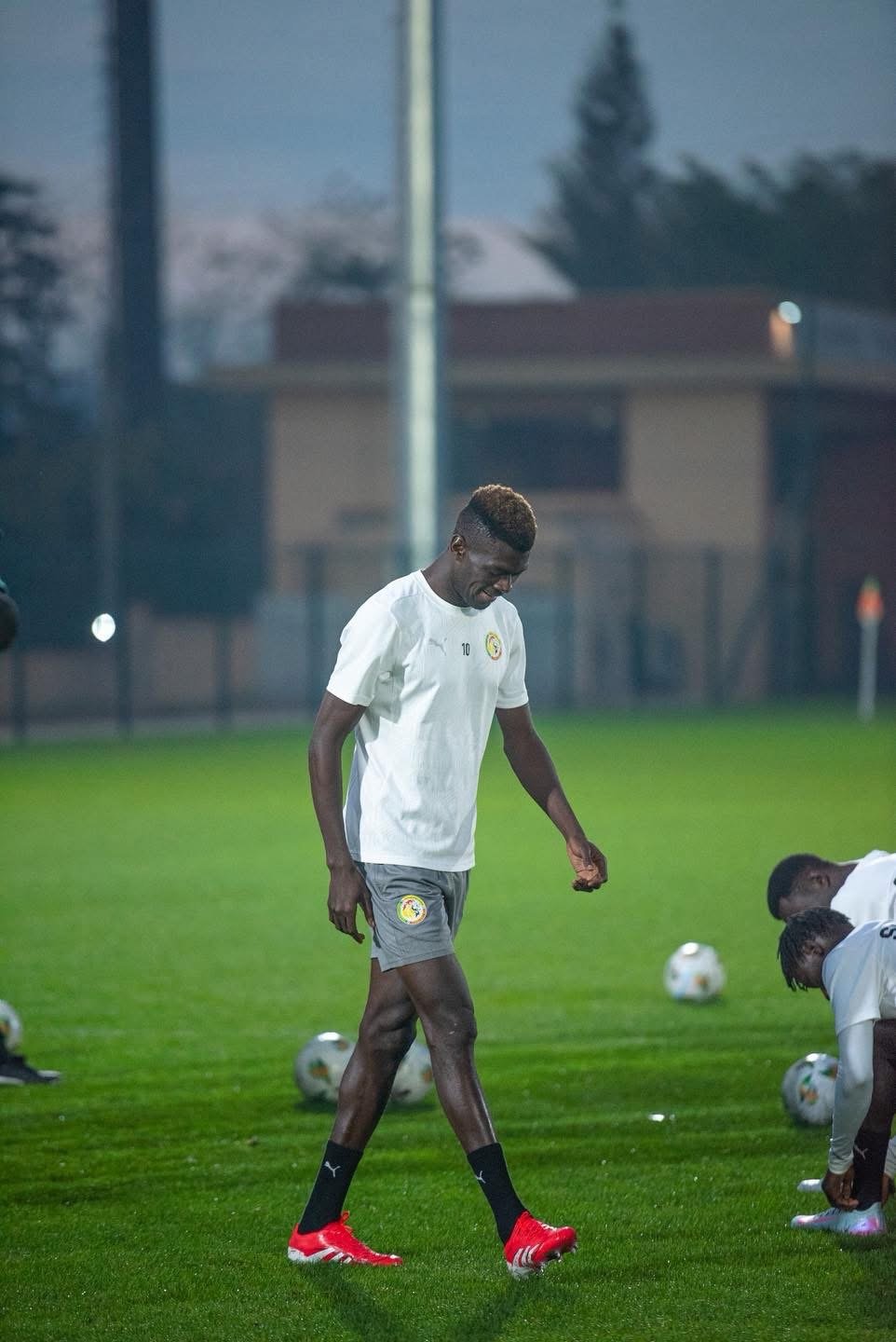 CHAN 2025 : La dernière séance d’entraînement des Lions locaux avant d’affronter le Maroc (Images) - wiwsport
