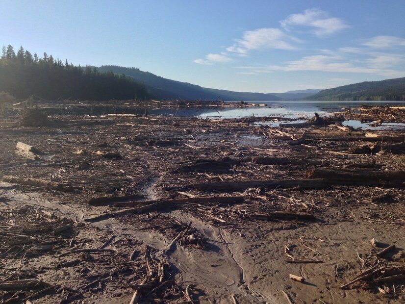 Muck and woody debris covers a large part of a lake