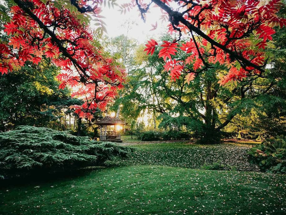 Explore the Magnificent Gardens of Norrviken