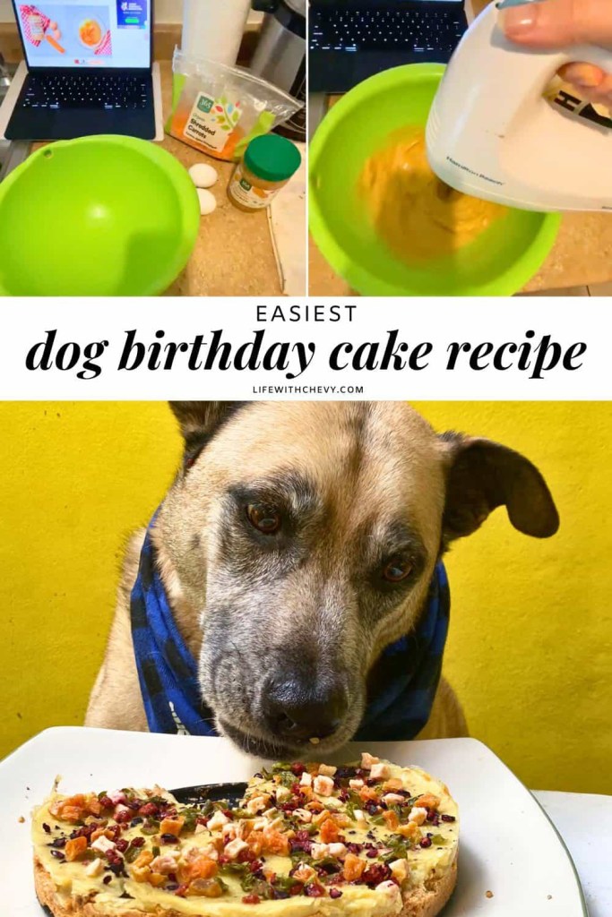 How Do I Make a Dog Birthday Cake: Easy & Healthy Recipe Ideas