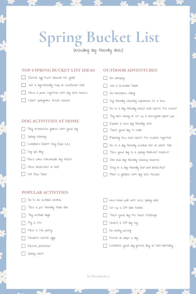 Dog Friendly Activities: Unleash Fun Adventures