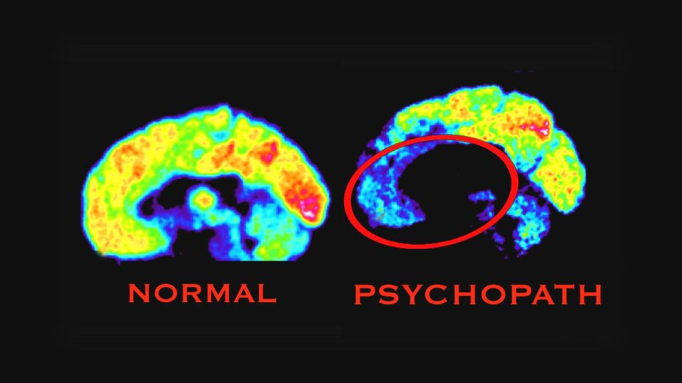 犯罪學學系| LINKEDU 海外升學