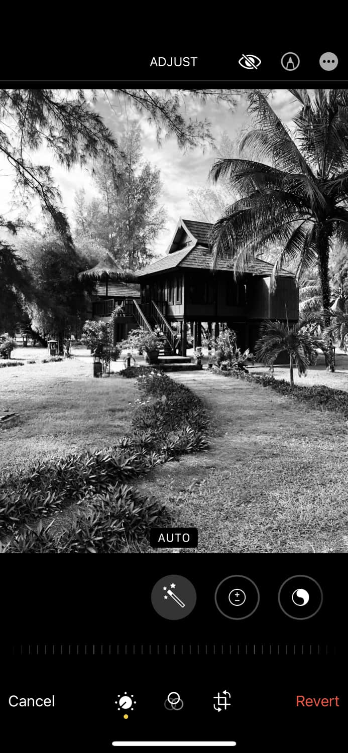 how to take a black and white picture on iphone