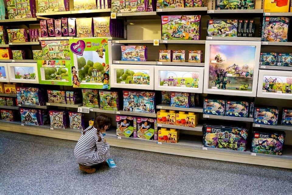 8 Moa Activities For The Whole Family