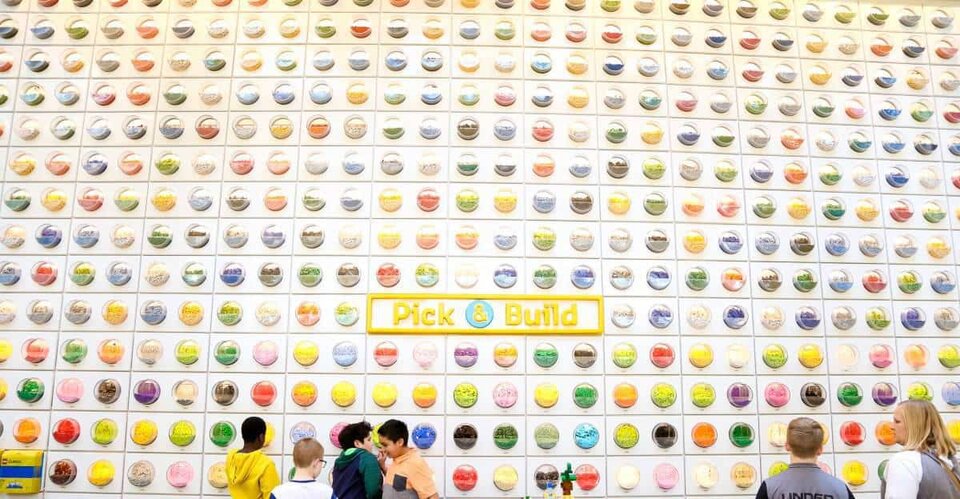 8 Moa Activities For The Whole Family