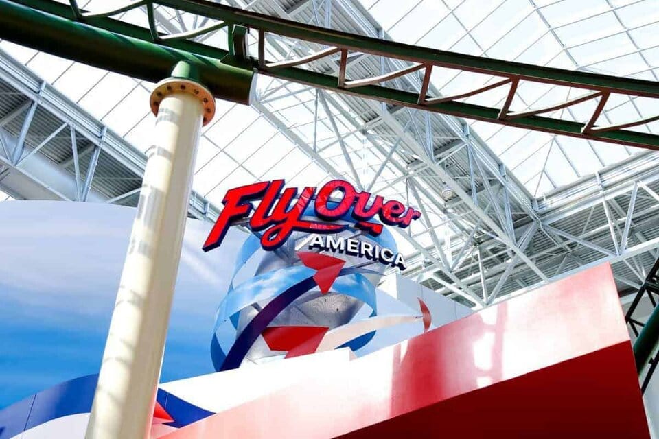 8 Moa Activities For The Whole Family