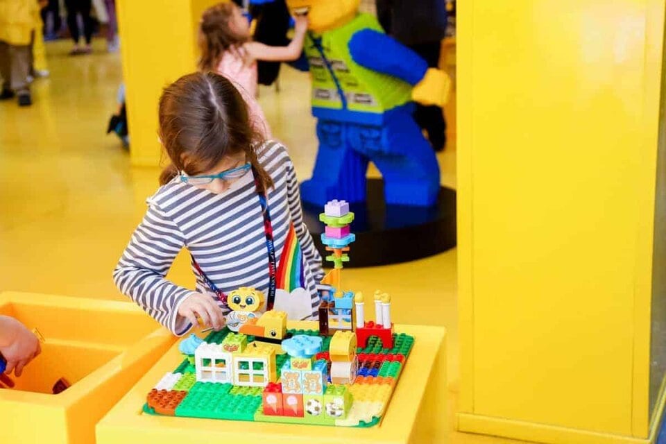 8 Moa Activities For The Whole Family