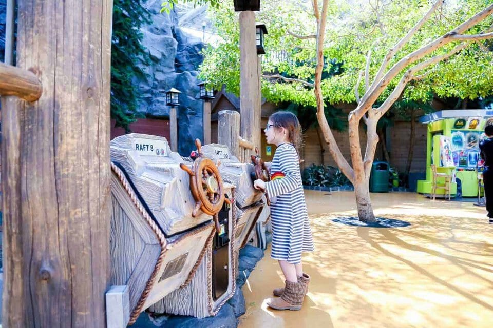 8 Moa Activities For The Whole Family