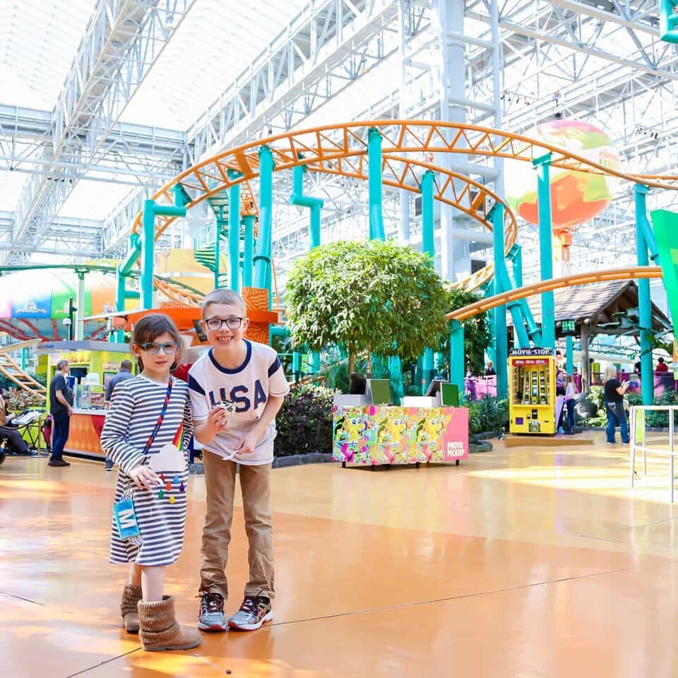 8 Moa Activities For The Whole Family