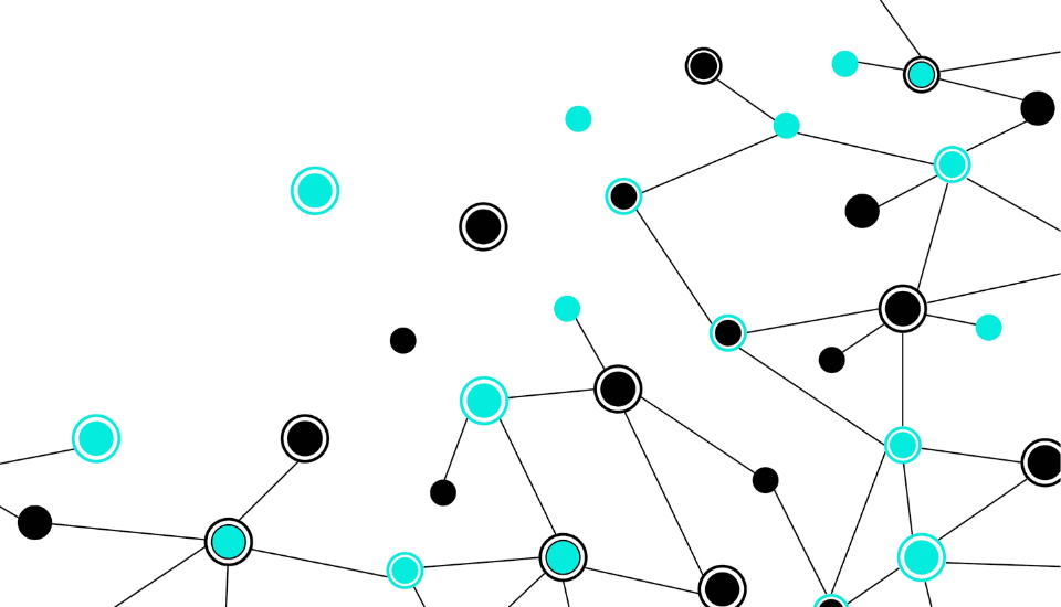 A network diagram featuring interconnected black and turquoise circles on a white background. Lines link the circles, illustrating a web-like structure with some circles not connected. The design is abstract and minimalist.