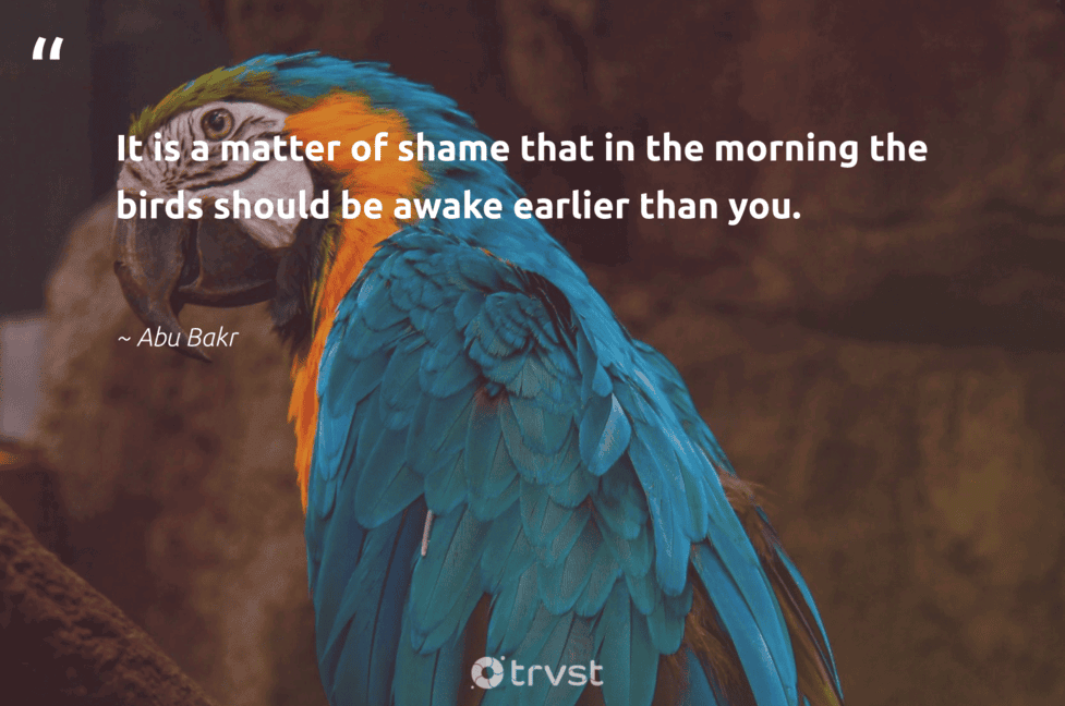 Losing A Pet Bird Quotes 110 Bird Quotes And Sayings About Birds To Inspire & Motivate