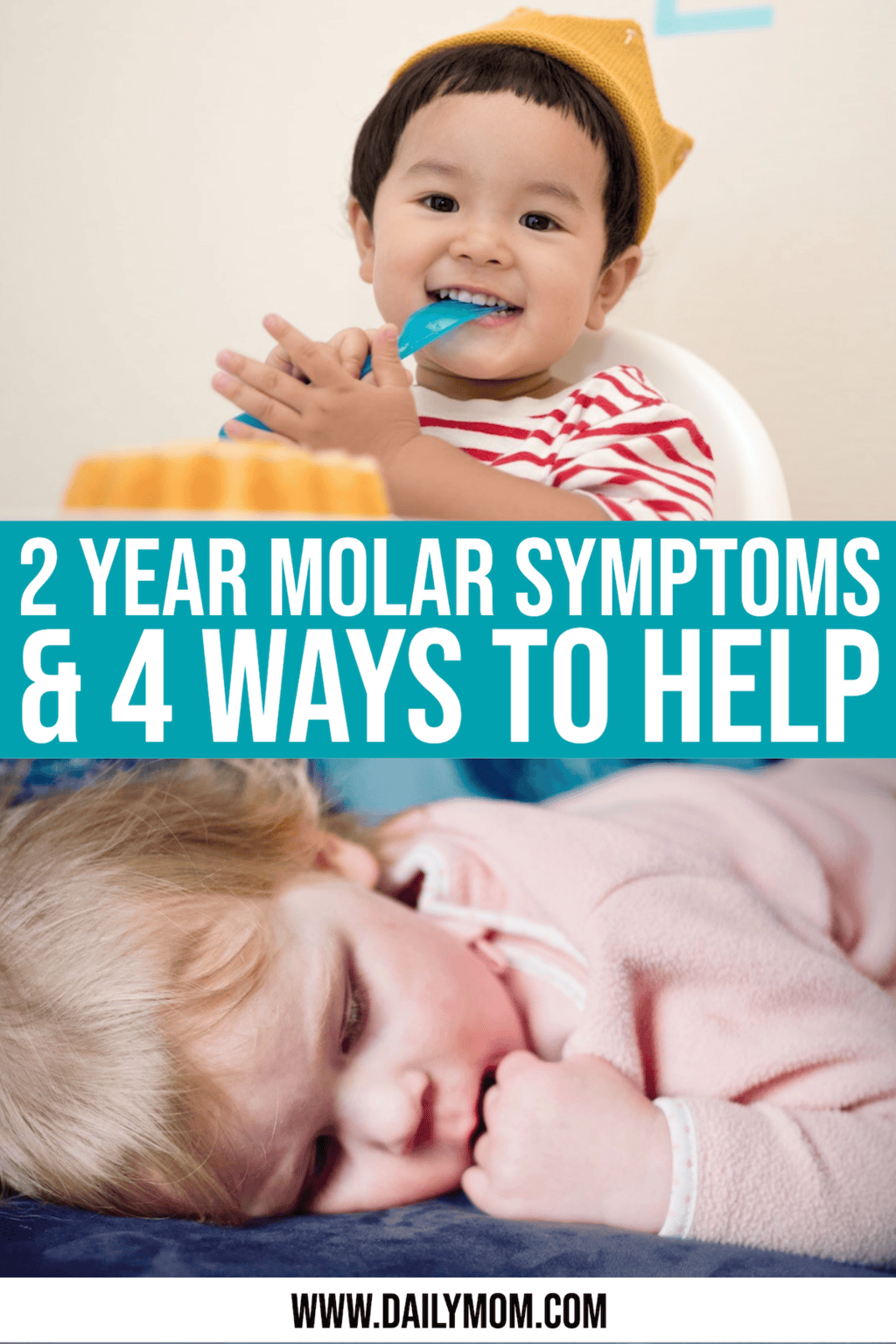 2 Year Molars