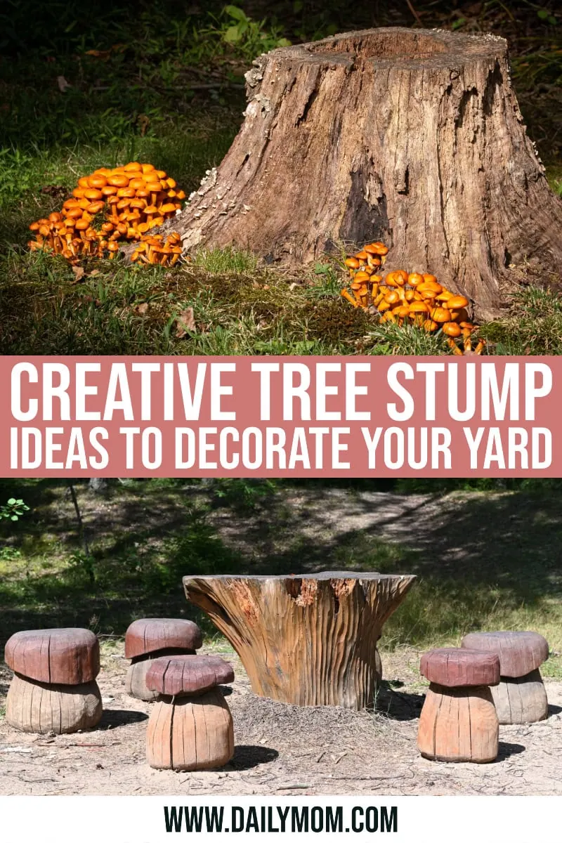7 Creative Tree Stump Ideas To Decorate Your Yard, image size:800x1200