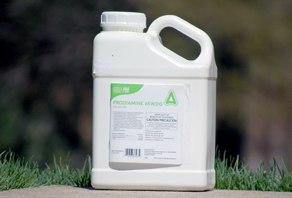 When To Apply Barricade Herbicide | Obsessed Lawn