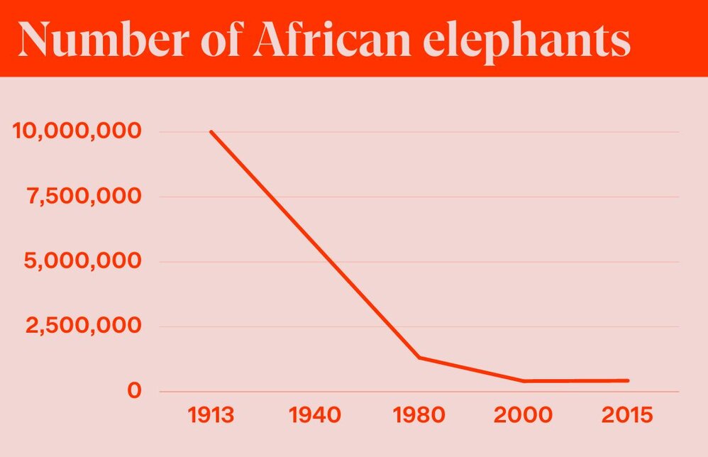African Elephant Population Graph