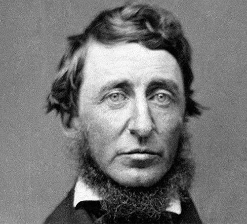Henry david thoreau beliefs image