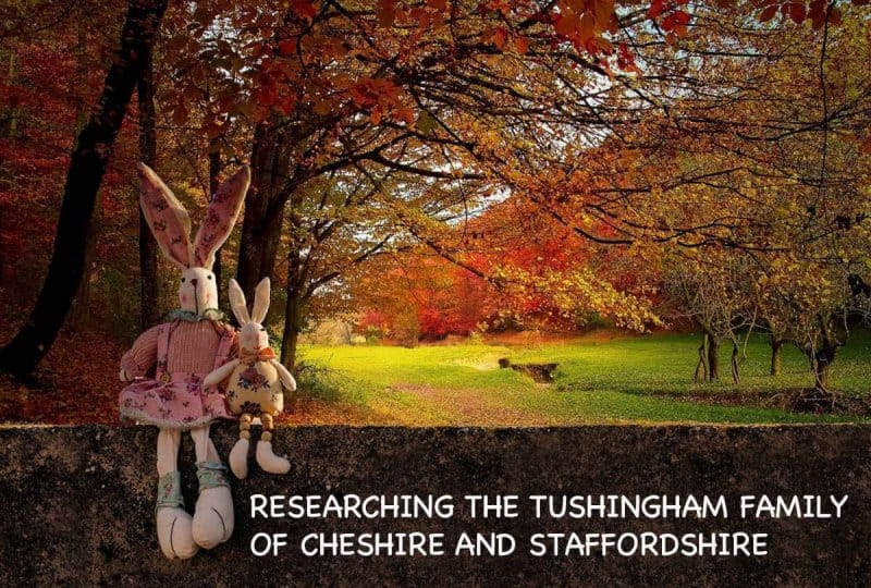 Tushingham family of cheshire and staffordshire