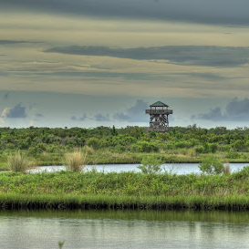 Robinson Preserve