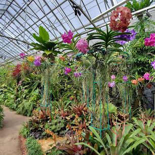 Marie Selby Botanical Gardens Downtown Sarasota Campus