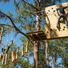 Treeumph! Adventure Course