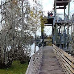 Lettuce Lake Park