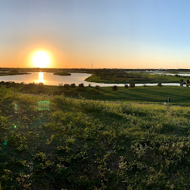 Celery Fields