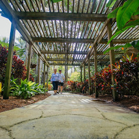 Sunken Gardens