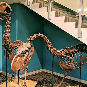 The Bishop Museum Of Science And Nature