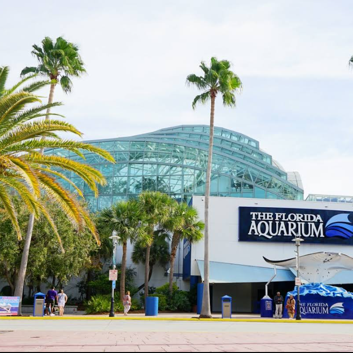 Exterior View Of The Florida Aquarium Featuring Modern Glass Architecture, Surrounded By Palm Trees And Lush Greenery, With Visitors Approaching The Entrance.