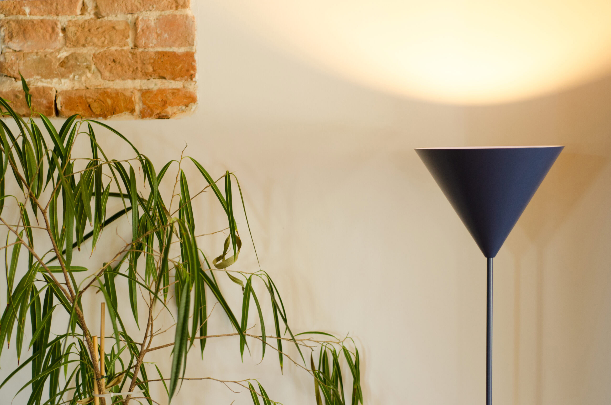 Konko Floor - obrazek 7