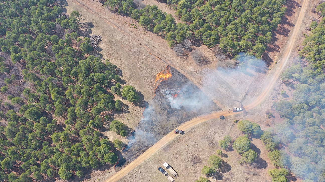 Controlled burn with CNO Forestry