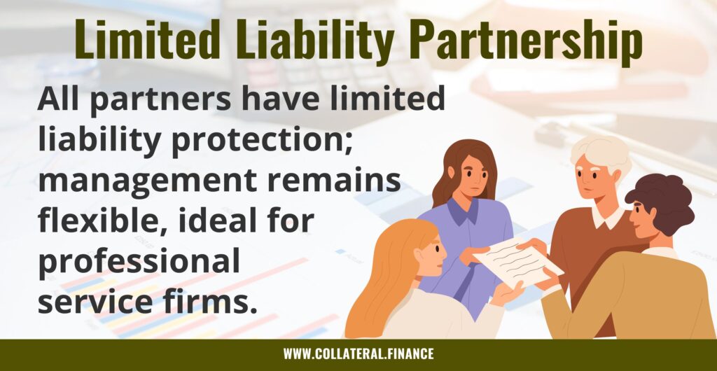 Limited Liability Partnerships_ All partners have limited liability protection; management remains flexible, ideal for professional service firms