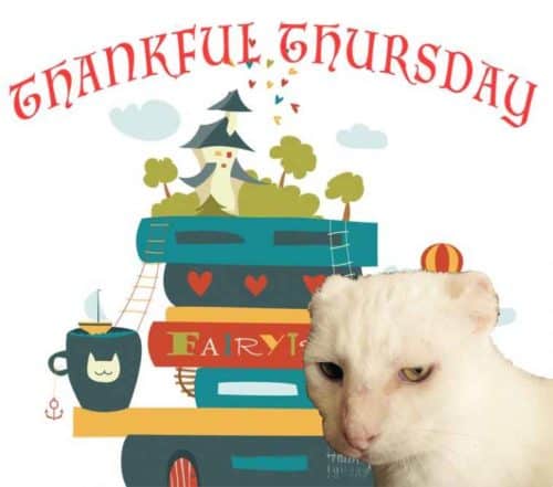 Thankful Thursday image with Harvey Cat
