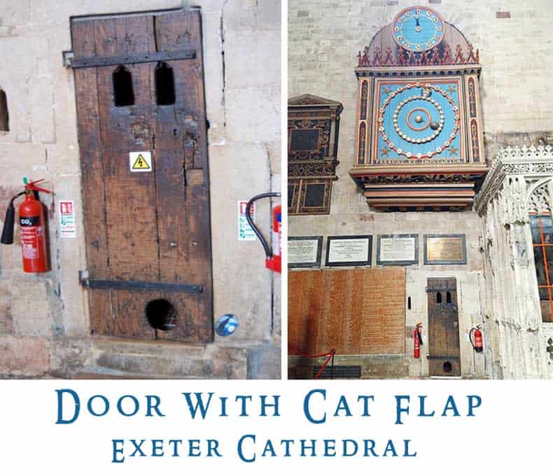 Cat Door Exter Cathedral