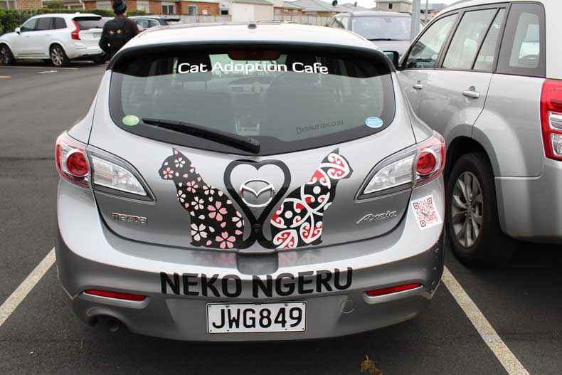 Cat registration plate Neko Ngeru